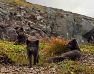 Snímek obrazovky 2022-01-10 130146